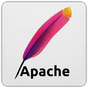 Configure Multiple Domains in apache for local development